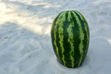 a large watermelon on the sand in the vertical position