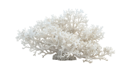 White coral reef 3D render icon isolated on white background