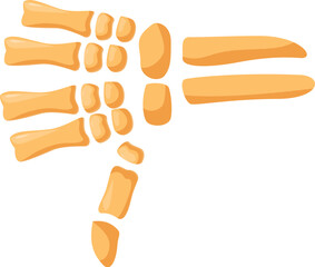Cartoon skeleton hand gesturing thumbs down, expressing disapproval or dislike