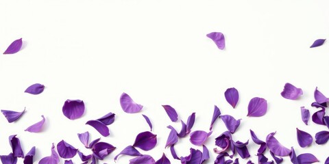 delicate purple flower petals scattered on a soft white surface, delicate, vibrant