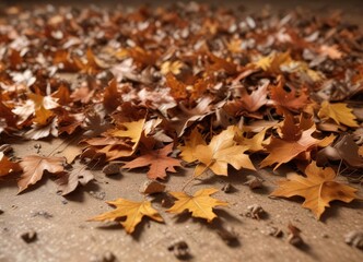 Dry oak leaves scattered on a brown autumn background, dry leaves, oak leaves, woodland