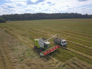 Fototapeta premium A combine harvester at work, harvesting crops from a field.