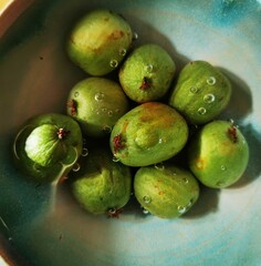 Green Mini Kiwi Berries in a turquoise green bowl full of water.