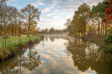 reflet automnal au bord de l'étang