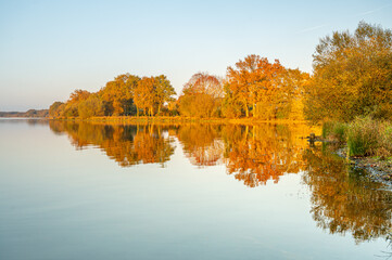 reflet automnal au bord de lac