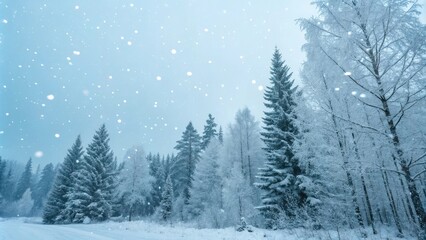 Naklejka premium Frosted trees stand against the pale blue sky as snowflakes gently fall in the arctic forest, serene environment, winter landscape, frozen landscape, northern lights