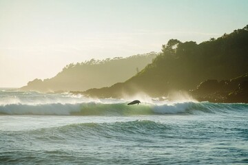 Fototapeta premium pod of dolphins leaping gracefully out of sparkling ocean waves in Byron Bay. 