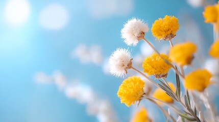 Field of yellow flowers with a blue sky in the background