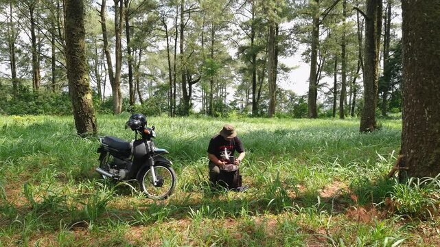A solo traveler is preparing a flysheet tent in a green and lush pine forest area. Asian men touring and adventuring alone in the jungle and setting up flysheets for bushcraft and camping