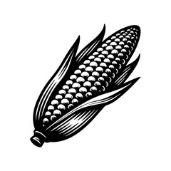 hand draw black and white corn illustration, vintage corn illustration .