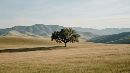 A solitary tree stands proudly amidst golden fields, framed by rolling hills and a vast, soft blue sky, exuding tranquility and timeless beauty.