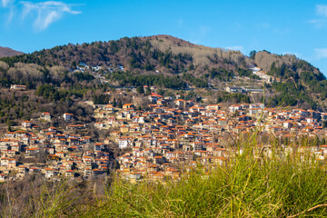 Metsovo Village in Epirus, Greece: A Picturesque Panorama of Stone Houses and Lush Greenery