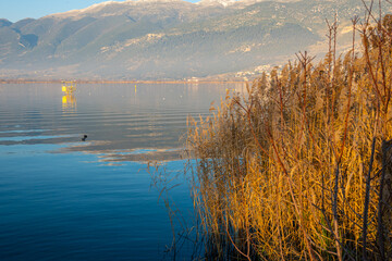 Mountains Watch Over Ioannina Lake in Epirus, Greece. Reflective waters. Birdwatching hide 