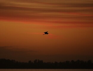 Beautiful Florida Sunrise Sunset 