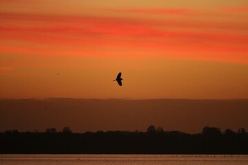 Beautiful Florida Sunrise Sunset 