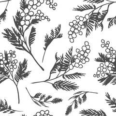 Seamless pattern, illustration mimosa, plant, vector sketches set, hand drawn floral design