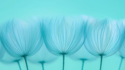 Delicate dandelion seeds in soft pastel blue hues against aqua background; tranquil, minimalist nature, perfect for calm, serene, inspirational themes