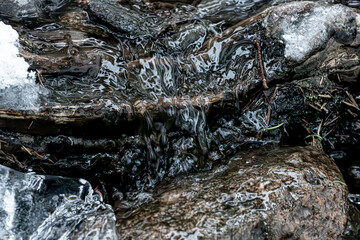 A frozen stream in a coniferous forest that seems to have stopped time, Norway