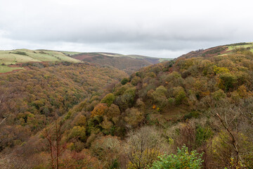 Landscape photo of the autumn colours at Watersmeet valley in Exmoor National Park