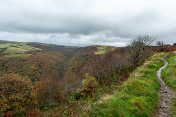 Landscape photo of the autumn colours at Watersmeet valley in Exmoor National Park