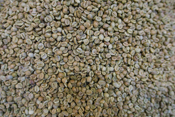 Raw robusta coffee beans in close up view.