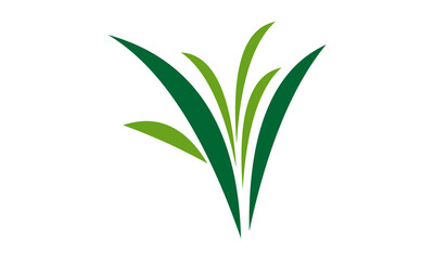 Fototapeta premium green leaf logo design