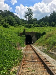 Luscious green landscape over train tunnel
