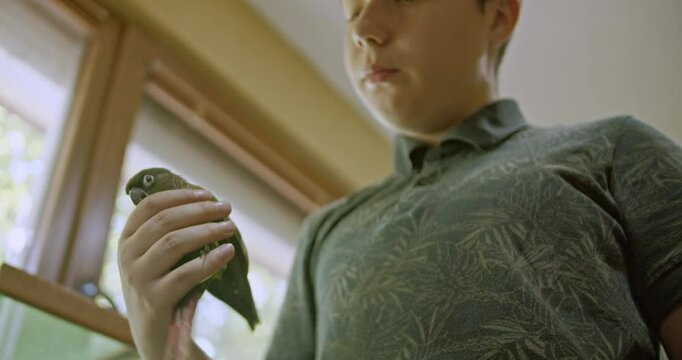 A young girl holds her pet green-cheeked conure parrot. The bird sits on her hand and then on her shoulder. Shot from a low angle.