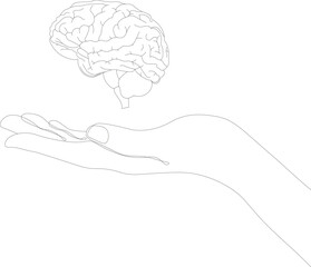 Female hand holding real brain palm up on white background. Gesture.