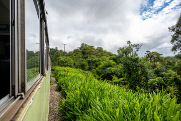 Brasilien, Pflanzen, Tiere, Landschaften, Wasser