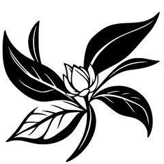 Black and White Botanical Flower Illustration: Elegant Floral Design, Nature-Inspired Graphic Art, Simple Minimalist Vector