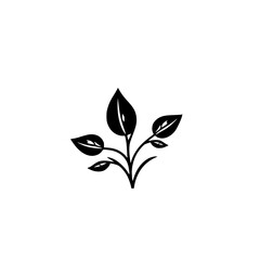 Elegant Black and White Plant Illustration: Minimalist Botanical Leaf Design, Perfect for Nature-Inspired Decor and Branding
