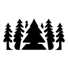 Majestic Evergreen Forest: A Serene Nature Scene. Discover the beauty of towering trees and tranquil woodland. Perfect for nature lovers and landscape enthusiasts.