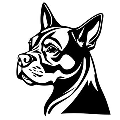 Majestic Boston Terrier Dog Head: A Black and White Vector Portrait.  Perfect for pet lovers and graphic design projects.