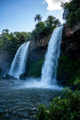 Obraz premium Brasilien, Pflanzen, Tiere, Landschaften, Wasser