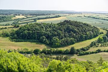 Obraz premium Breathtaking View of Forest in a Heart Form in a Sunny Landscape