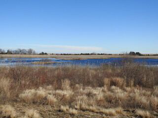 The natural beauty of the wetlands within the Edwin B. Forsythe National Wildlife Refuge, during the winter season. Galloway, New Jersey. 