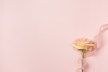 Rose with ribbon on pink background. Flat lay, top view. Copy space