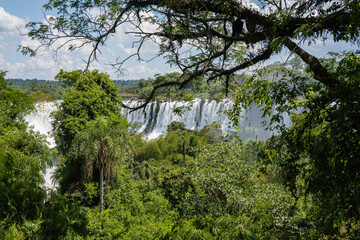 Brasilien, Pflanzen, Tiere, Landschaften, Wasser