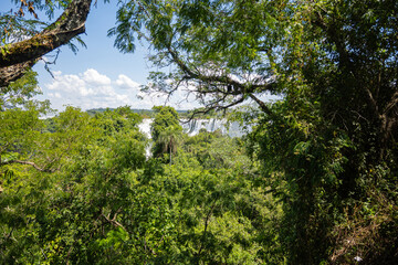 Brasilien, Pflanzen, Tiere, Landschaften, Wasser