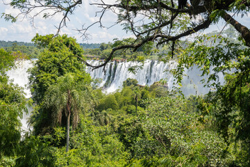 Brasilien, Pflanzen, Tiere, Landschaften, Wasser
