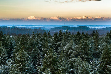 sunset over the forest