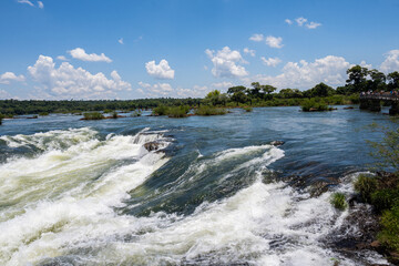 Brasilien, Pflanzen, Tiere, Landschaften, Wasser
