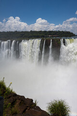 Fototapeta premium Brasilien, Pflanzen, Tiere, Landschaften, Wasser 