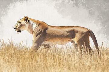 A majestic lioness strides through tall savanna grass under a cloudy sky.