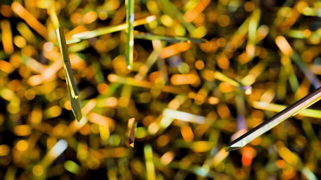 3d rendering of scattered urate crystals; Uric acid or kidneys excrete too little uric acid, it can build up, forming sharp, needle-like urate crystals in a joint or surrounding tissue.
