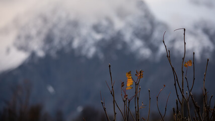 Scenery of Arctic Norway in late autumn