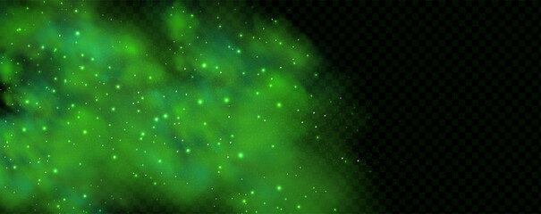 Realistic texture of fantastic smoke background. Green fog with glitter and shimmering glowing particles. Starry neon magic dust. © gala