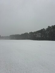 Florida panhandle unique 2025 snowfall 