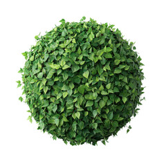 Fototapeta premium A spherical arrangement of lush green leaves, creating a vibrant and natural appearance, Transparent Background.